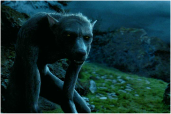 Picture of a Werewolf from the Harry Potter Films