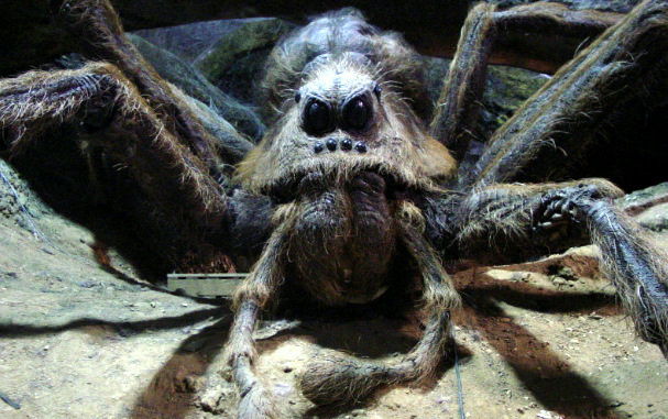 Picture of Aragog from the Harry Potter Films